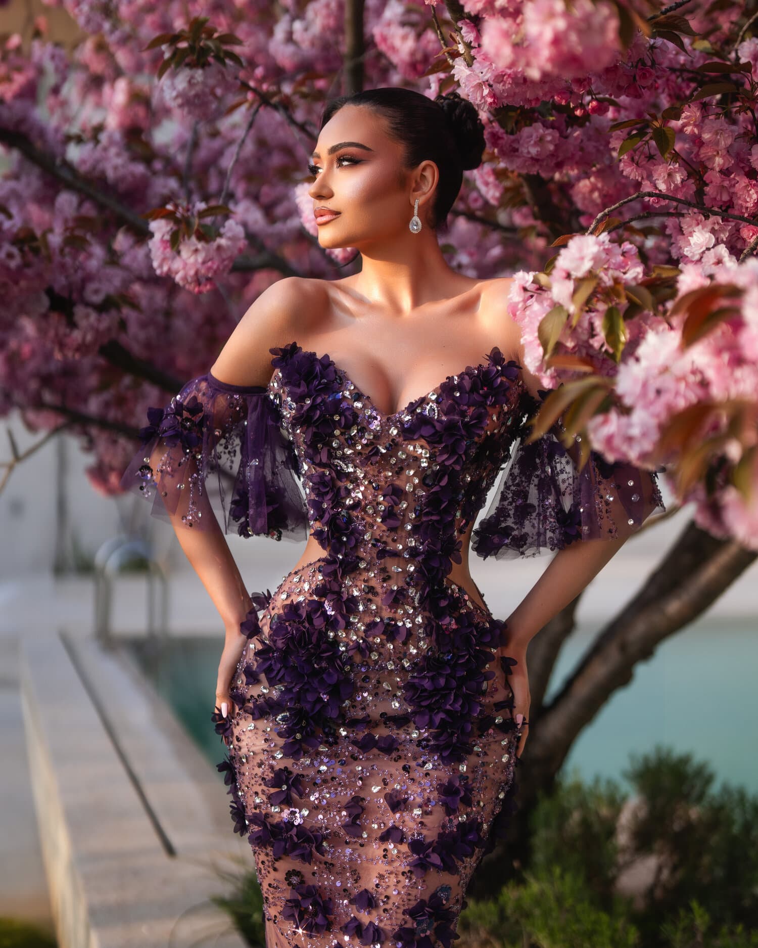 LIVIA - model
