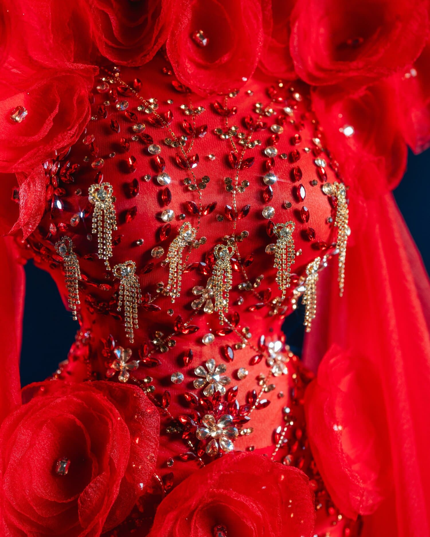 RUBINA — red rose crystal gown with cape (view 3)