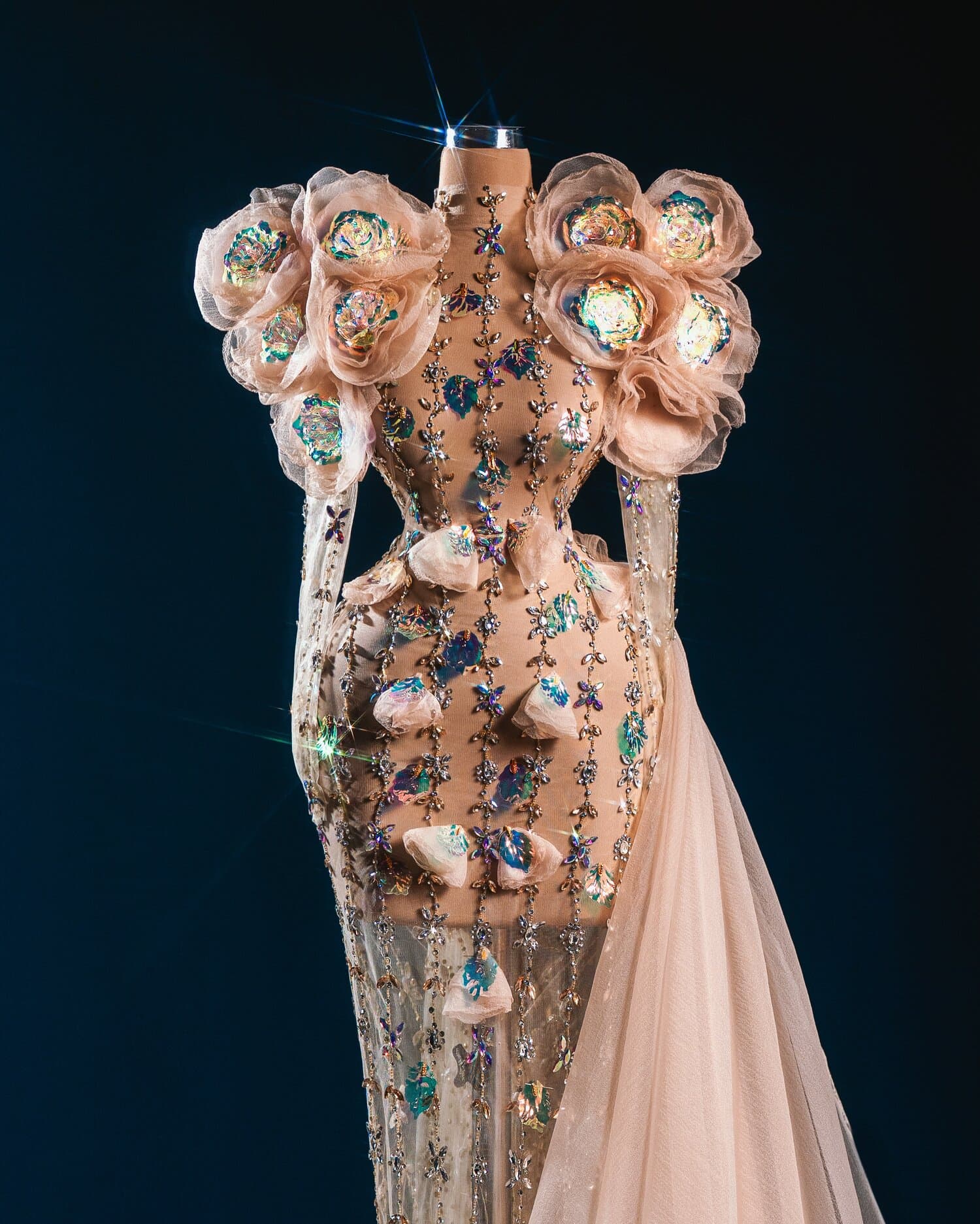 SERAPHINE — champagne gown with iridescent flowers and puff sleeves