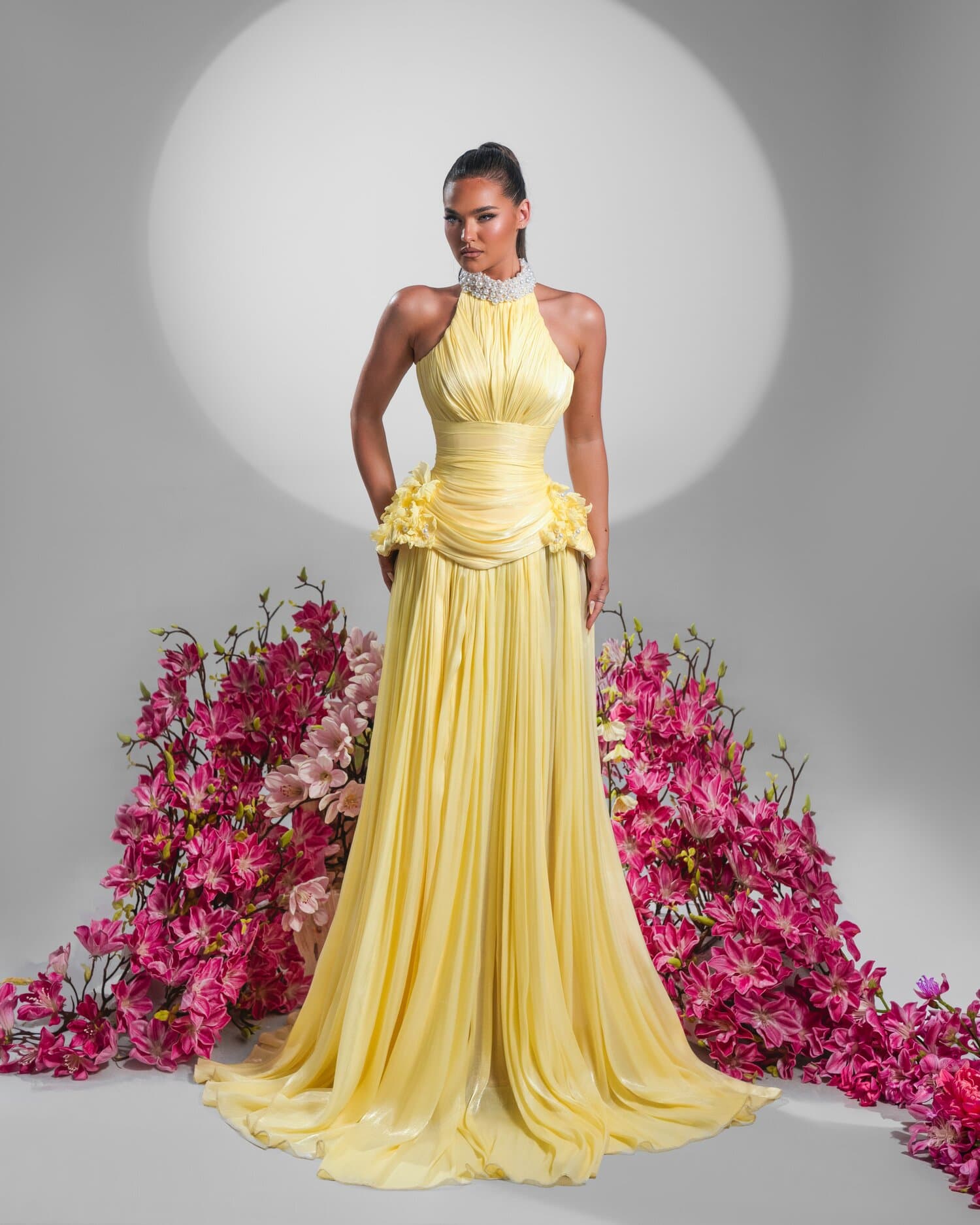 MIMOSA - model