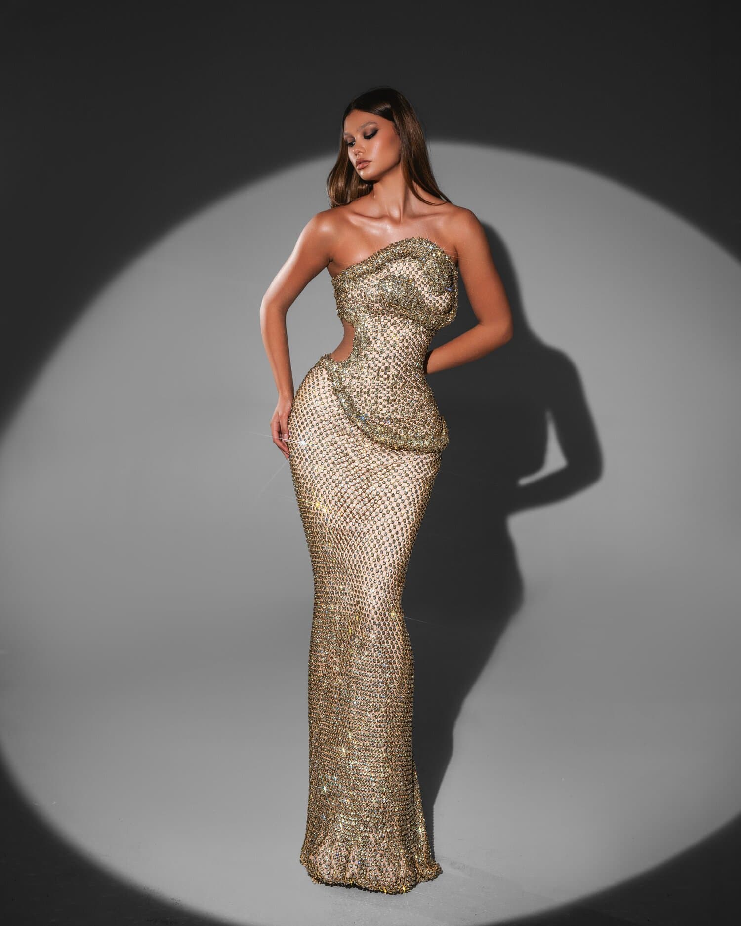 AUREVA - model