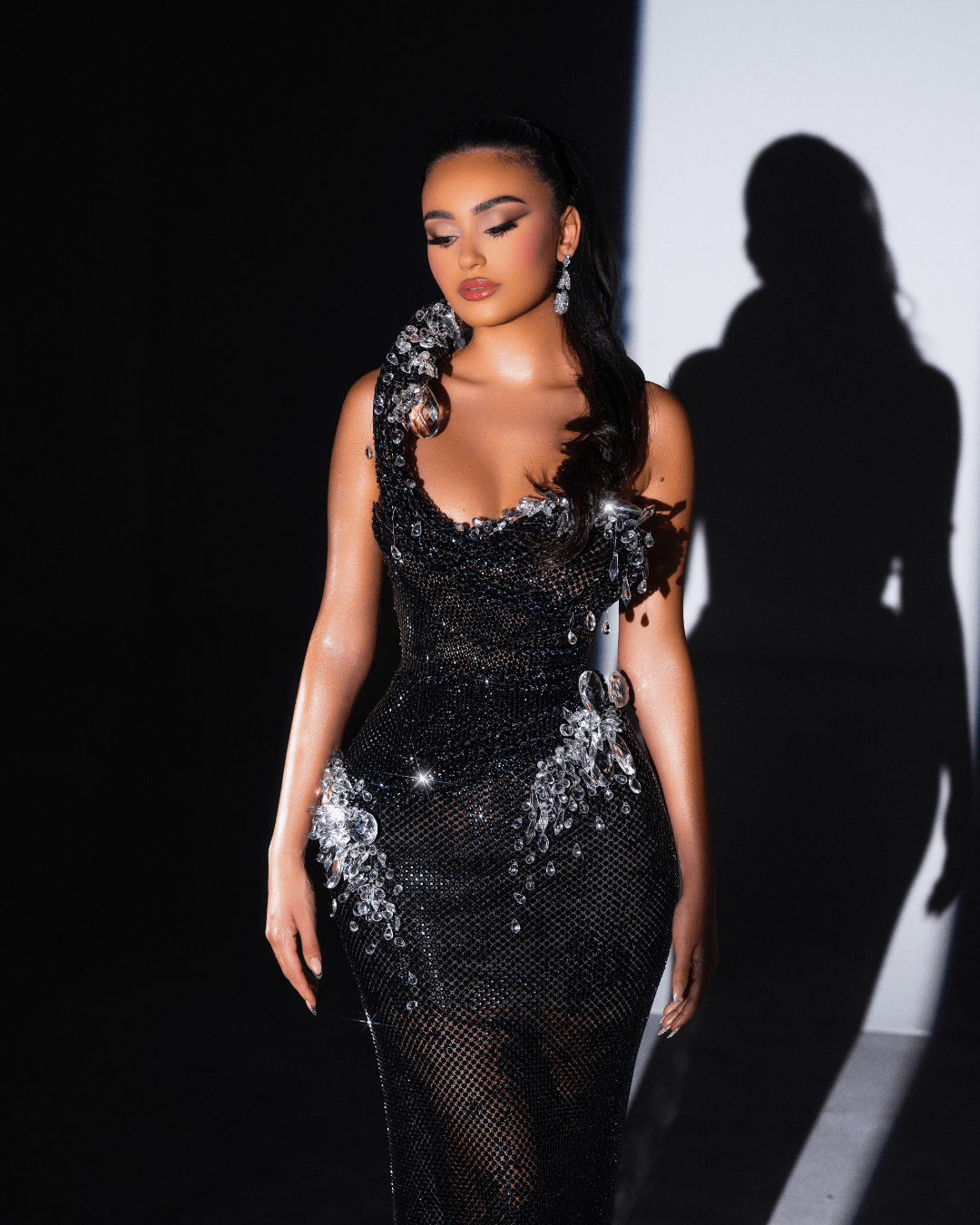 Blaora Black Long Sleeveless Dress with Crystals - BLINI