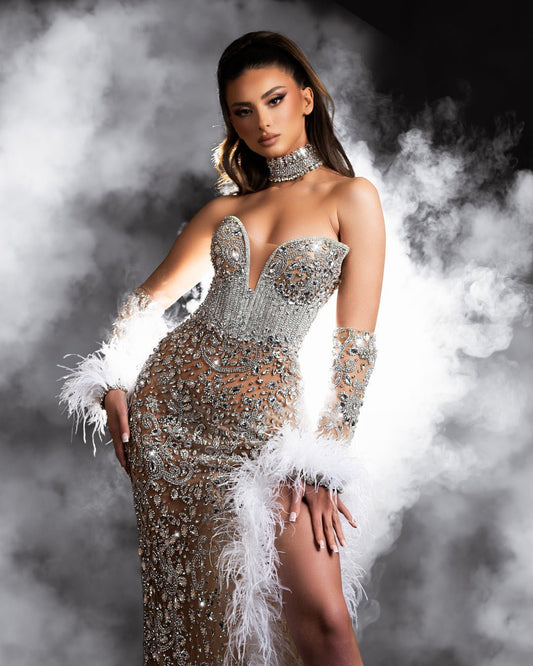 Sirelia Silver Dress with Crystals and Feathers - BLINI