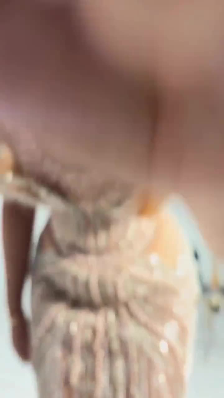 Unesia in motion
